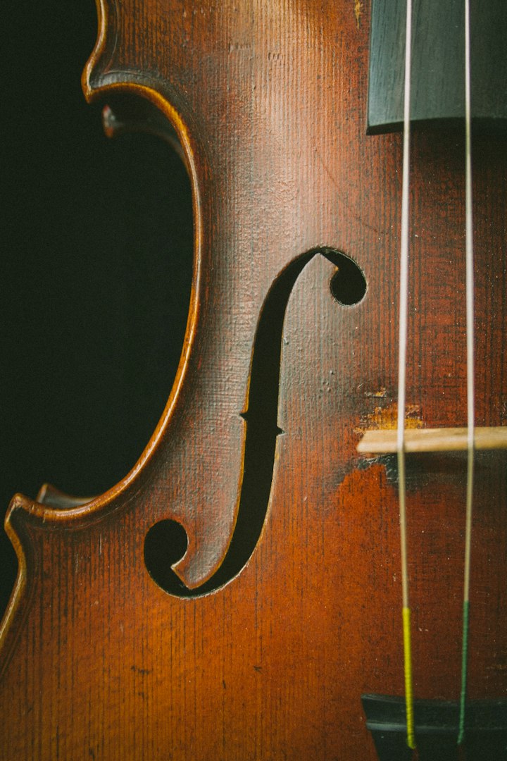 Wedding String Quartet